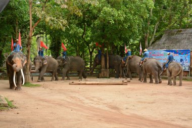 Fil gibi insanlar Tayland fil Koruma Merkezi Lampang-A vitrin bir Tay dili veya Asya fili yeteneklerini göstermek için bir faaliyet gösteriyor