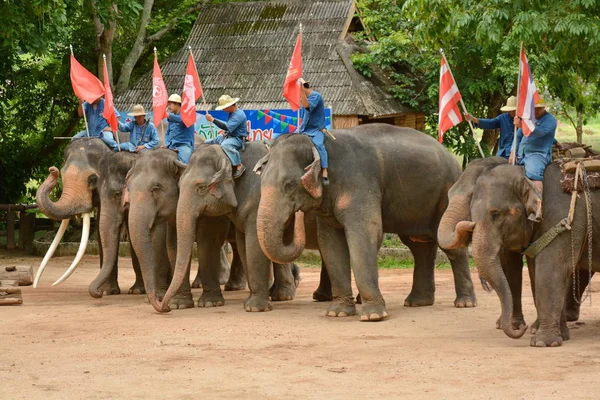 Fil gibi insanlar Tayland fil Koruma Merkezi Lampang-A vitrin bir Tay dili veya Asya fili yeteneklerini göstermek için bir faaliyet gösteriyor
