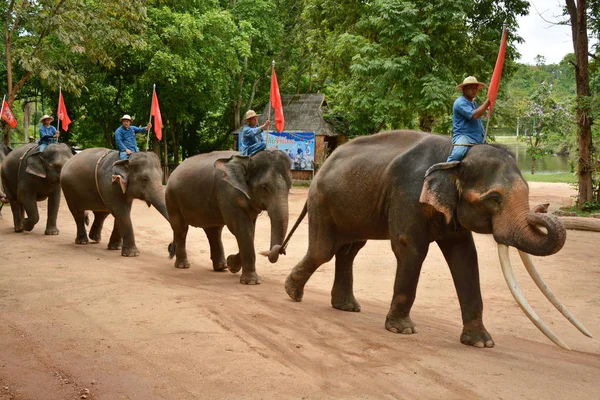 Fil gibi insanlar Tayland fil Koruma Merkezi Lampang-A vitrin bir Tay dili veya Asya fili yeteneklerini göstermek için bir faaliyet gösteriyor