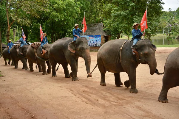 Fil gibi insanlar Tayland fil Koruma Merkezi Lampang-A vitrin bir Tay dili veya Asya fili yeteneklerini göstermek için bir faaliyet gösteriyor