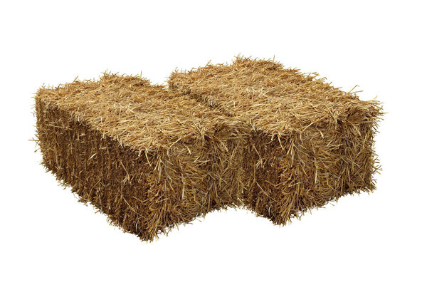 Image of rice straw briquette, white background.