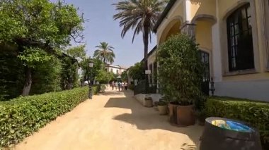 İspanya: Pepes 'in tarihi avlularına, çarşaf döşeli sokaklara ve Jerez de la Frontera' daki asırlık şeri mahzenlerine Bodega 'nın günışığı görüntüleri. 