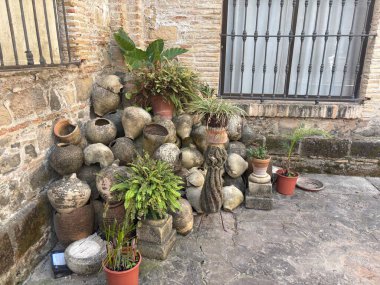 İspanya: Jerez de la Frontera 'daki Jerez Katedrali' nin dış ve iç manzarası, Gotik, Barok ve Neoklasik stillerin mimari karışımı, dekoratif naf yapısı, kubbe, şapeller ve çan kulesinin mimari karışımını sergiliyor..