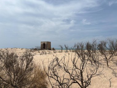 Playa de Camposoto, San Fernando, Cadiz 'de, altın kum tepeleri ve berrak Atlantik sularıyla, huzurlu kıyı güzelliği sunuyor..