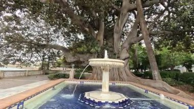 İspanya: Cdiz 'in tarihi caddeleri, beyazlatılmış binalar, dar sokaklar, plazalar ve Katedral ve Roma Tiyatrosu gibi ikonik manzaralar.