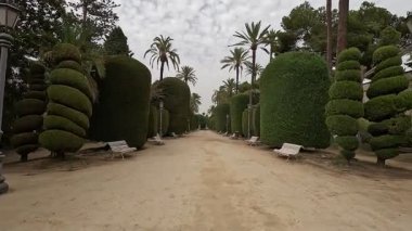 İspanya: Cdiz 'in tarihi caddeleri, beyazlatılmış binalar, dar sokaklar, plazalar ve Katedral ve Roma Tiyatrosu gibi ikonik manzaralar.