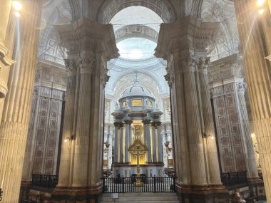 Spain : Cadiz Cathedral's golden dome and baroque-neoclassical facade shine outside; inside, ornate chapels, soaring columns, and crypt captivate.