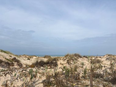 İspanya 'nın San Fernando kentindeki Playa de Camposoto plajı, Endülüs' ün Costa de la Luz bölgesindeki Sancti Petri adasının 9 km 'lik altın kum, Atlantik suları, korunan kum tepeleri, 2. Dünya Savaşı sığınakları ve kıyı manzarasını gösteriyor..