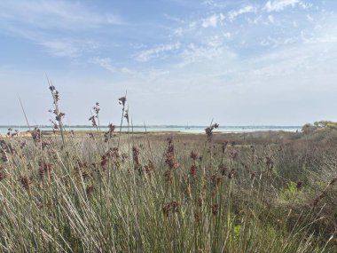 İspanya 'nın San Fernando kentindeki Playa de Camposoto plajı, Endülüs' ün Costa de la Luz bölgesindeki Sancti Petri adasının 9 km 'lik altın kum, Atlantik suları, korunan kum tepeleri, 2. Dünya Savaşı sığınakları ve kıyı manzarasını gösteriyor..