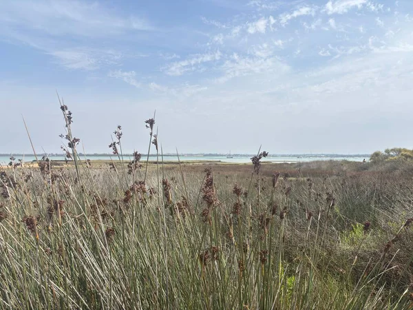 İspanya 'nın San Fernando kentindeki Playa de Camposoto plajı, Endülüs' ün Costa de la Luz bölgesindeki Sancti Petri adasının 9 km 'lik altın kum, Atlantik suları, korunan kum tepeleri, 2. Dünya Savaşı sığınakları ve kıyı manzarasını gösteriyor..