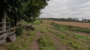İskoçya 'nın sakin İskoç sınırlarında yürüyüş videoları, yeşil tepelerin üzerinde dönen patikalar, antik kuru taş duvarlar, çiçek açan fundalıklar, otlayan hayvanlar ve ılık ışık altında gezen Güney Uplantlarının manzaraları..
