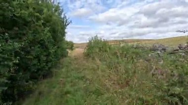 İskoçya 'nın sakin İskoç sınırlarında yürüyüş videoları, yeşil tepelerin üzerinde dönen patikalar, antik kuru taş duvarlar, çiçek açan fundalıklar, otlayan hayvanlar ve ılık ışık altında gezen Güney Uplantlarının manzaraları..