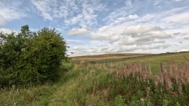 İskoçya 'nın sakin İskoç sınırlarında yürüyüş videoları, yeşil tepelerin üzerinde dönen patikalar, antik kuru taş duvarlar, çiçek açan fundalıklar, otlayan hayvanlar ve ılık ışık altında gezen Güney Uplantlarının manzaraları..
