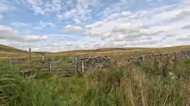 İskoçya 'nın sakin İskoç sınırlarında yürüyüş videoları, yeşil tepelerin üzerinde dönen patikalar, antik kuru taş duvarlar, çiçek açan fundalıklar, otlayan hayvanlar ve ılık ışık altında gezen Güney Uplantlarının manzaraları..