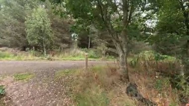 İskoçya 'nın sakin İskoç sınırlarında yürüyüş videoları, yeşil tepelerin üzerinde dönen patikalar, antik kuru taş duvarlar, çiçek açan fundalıklar, otlayan hayvanlar ve ılık ışık altında gezen Güney Uplantlarının manzaraları..