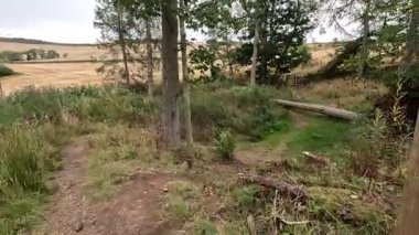 İskoçya 'nın sakin İskoç sınırlarında yürüyüş videoları, yeşil tepelerin üzerinde dönen patikalar, antik kuru taş duvarlar, çiçek açan fundalıklar, otlayan hayvanlar ve ılık ışık altında gezen Güney Uplantlarının manzaraları..