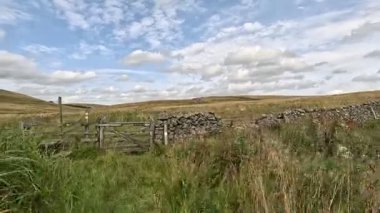 İskoçya 'nın sakin İskoç sınırlarında yürüyüş videoları, yeşil tepelerin üzerinde dönen patikalar, antik kuru taş duvarlar, çiçek açan fundalıklar, otlayan hayvanlar ve ılık ışık altında gezen Güney Uplantlarının manzaraları..