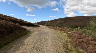 İskoçya 'nın doğu Lothian bölgesindeki Lammermuir Tepeleri' nden yukarı doğru ilerleyen Hillwalker otlakların, fundalıklarla kaplı yamaçların ve Firth of Forth ve Borders 'a doğru panoramaların ortasında.