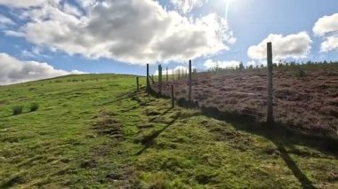 İskoçya 'nın doğu Lothian bölgesindeki Lammermuir Tepeleri' nden yukarı doğru ilerleyen Hillwalker otlakların, fundalıklarla kaplı yamaçların ve Firth of Forth ve Borders 'a doğru panoramaların ortasında.