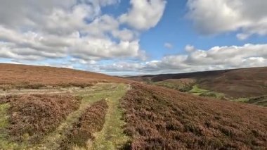 İskoçya 'nın doğu Lothian bölgesindeki Lammermuir Tepeleri' nden yukarı doğru ilerleyen Hillwalker otlakların, fundalıklarla kaplı yamaçların ve Firth of Forth ve Borders 'a doğru panoramaların ortasında.