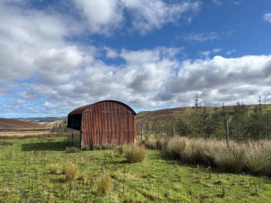 Paslı çiftlik, İskoç tepe manzarası dış döşeme, yıpranmış metal çatı, taş taban ve uzak tepeler ve otlak koyun ile çevrili bataklık.