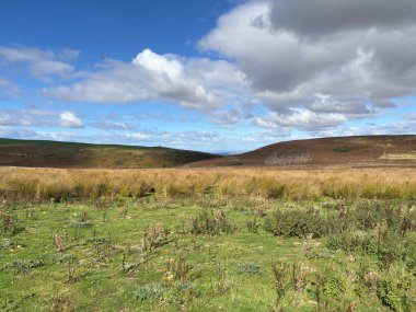 İskoçya 'daki Lammermuir Tepeleri boyunca uzanan manzara, Batı Lothian tepe sırasındaki Firth of Forth' a kadar uzanan çayırlık, fundalık kaplı yamaçlar, otlaklar ve panoramalar içeriyor..