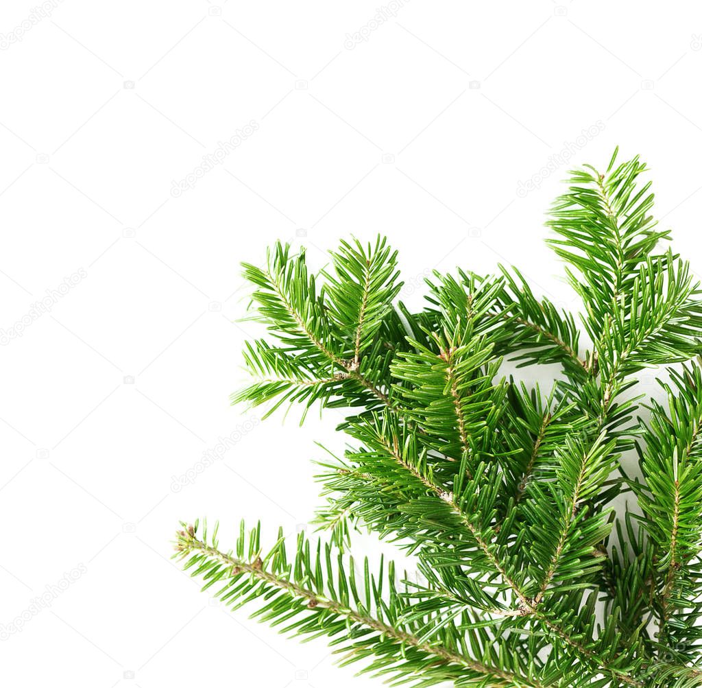 Top view flat lay natural Christmas tree branches corner frame on bright background. New year decor concept. Text space