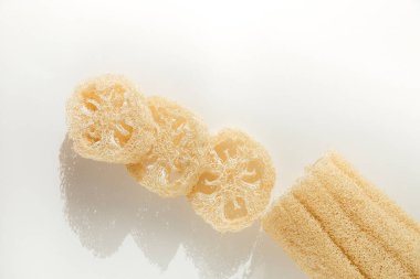 Işık arka planında lif, sıfır atık kavramı