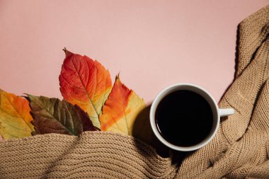 Pembe arka planda kahve ve sonbahar yaprakları. Sonbahar samimiyeti kavramı.