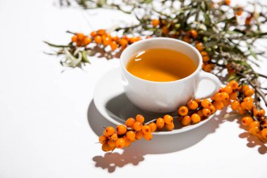 Beyaz arka planda deniz dikenli karabatak çayı