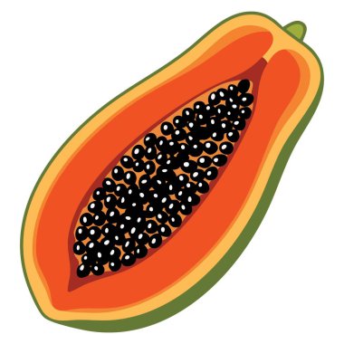 Carica papaya papaw meyve vektör sanat illüstrasyonu tropikal temalar için ideal görsel yeme egzotik ambalaj tasarımları ve botanik gıda sanat eserleri