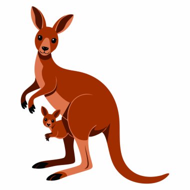 Beyaz üzerine izole edilmiş kanguru portresinin vektör çizimi. Vahşi yaşam, Avustralyalı hayvan, doğa, keseli ve eğitici grafik projeler için ideal.