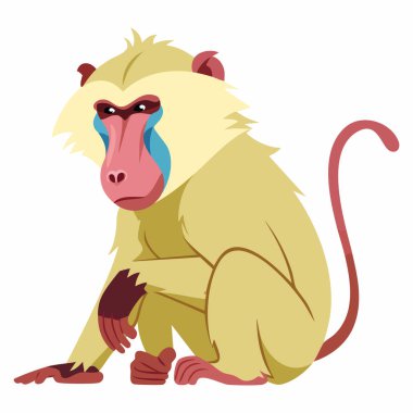 Renkli yüz detaylarıyla sakince oturan şirin çizgi film babunu. Orman hayvanları, vahşi yaşam eğitimi, çocuk kitapları ve doğa temalı tasarımlar için mükemmel..