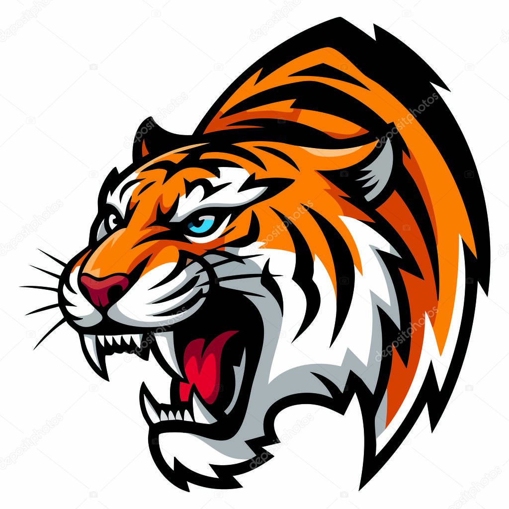 Isolated tiger head vector illustration roaring predator head design perfect for tattoo logo mascot branding or fierce wild animal artwork
