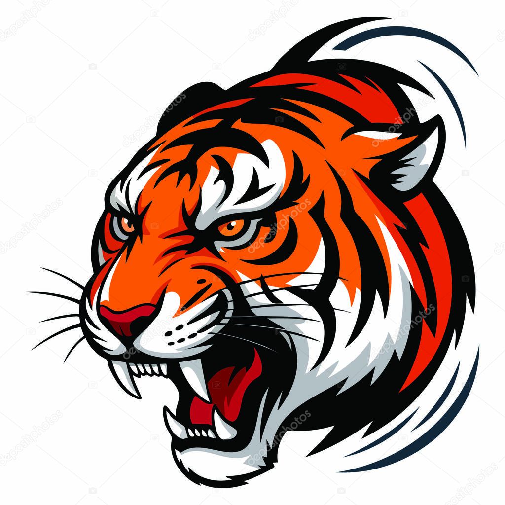 Vector tiger head illustration isolated wild predator roaring head design perfect for tattoo mascot logo or strong animal identity artwork