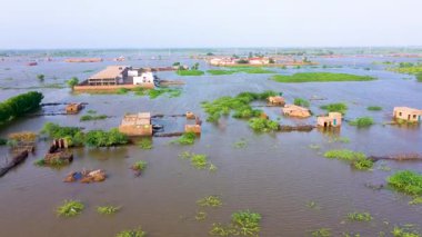 Punjab Flood Disaster 2025, Cropland Lost, Homes Inundated