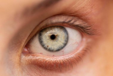 bir insan gözünün makro fotoğrafı