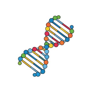 Renkli Genetik DNA sarmal modeli. Biyolojik çift sarmallı yapının canlı bir çizimi. Parlak bir spektrum içerir, bölümleri birbirine bağlar, moleküler araştırmaları ve yaşamın özünü somutlaştırır..