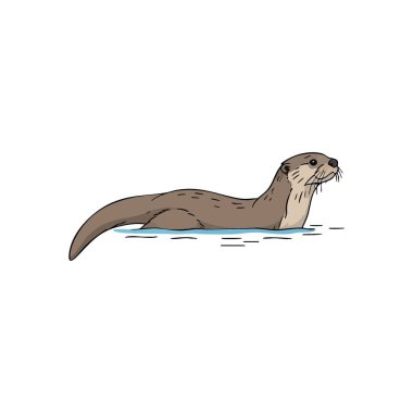 Playful River Otter İllüstrasyonu. Bu büyüleyici illüstrasyon, sulu yaşam alanının tadını çıkaran zarif bir hardalın resmedildiğini gösteriyor. Vahşi yaşamın ruhunu ve su zarafetini temsil ediyor..