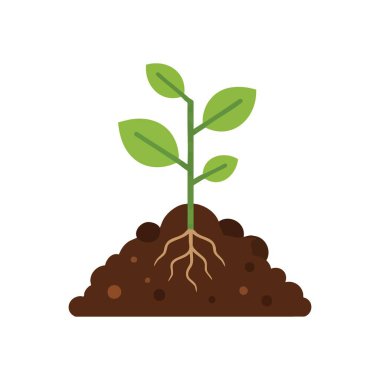 Genç Yeşil Bitki Büyümesi. Bereketli topraktan canlı bir fidan çıkar, kökleri sıkıca yerleşmiştir. Bu amblem yeni başlangıçları, ekolojik farkındalığı ve doğal evrimi simgeler..
