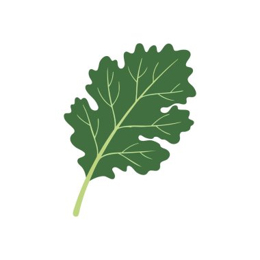 Taze Yeşil Yaprak Botanik Elementi. Koyu arkaplandaki yeşil bitki grafiği. Bu doğal motif canlılığı ve sağlıklı yaşamı besin ve bahçe temaları için idealdir..