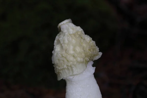 HD форматындағы порно ертегілер