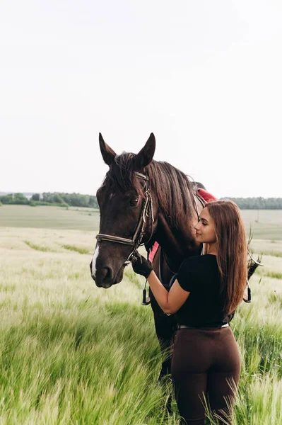 A girl and a young sports horse in the nature — Stock Photo, Image