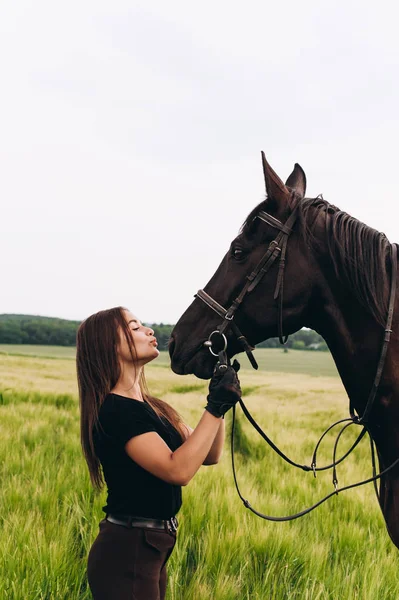 Uma menina e um jovem cavalo esportivo na natureza Fotografias De Stock Royalty-Free