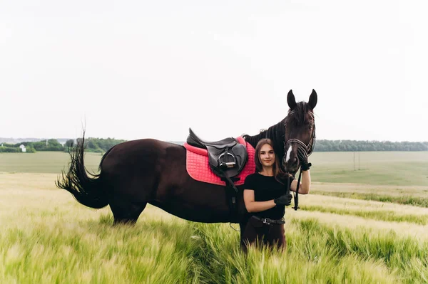 Una niña y un joven caballo deportivo en la naturaleza Imagen De Stock