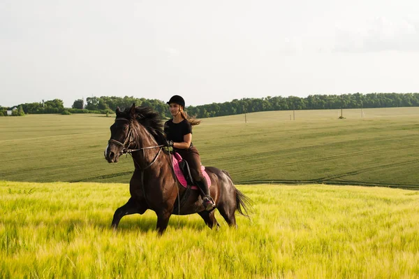 Una niña y un joven caballo deportivo en la naturaleza Imagen De Stock