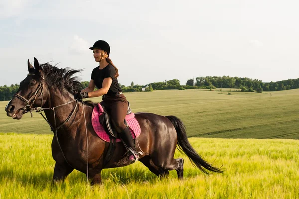 Una niña y un joven caballo deportivo en la naturaleza Imágenes De Stock Sin Royalties Gratis