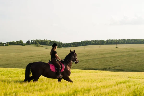 Uma menina e um jovem cavalo esportivo na natureza Fotografia De Stock