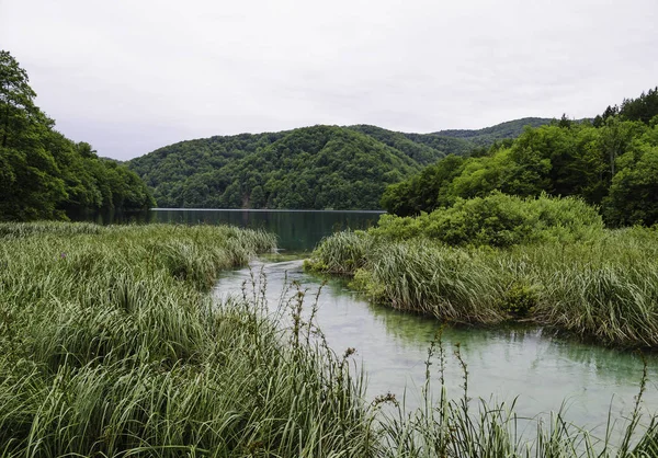 Hırvatistan 'da Plitvice Ulusal Parkı