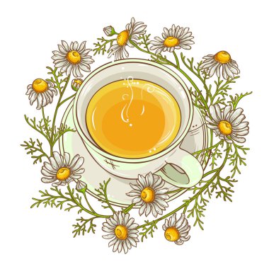 papatya çayı resimde beyaz arka plan üzerinde fincan